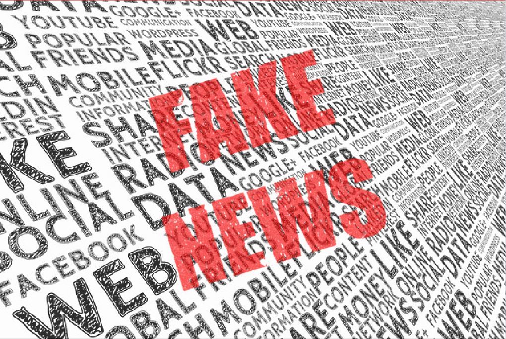 imagen guia fake new
