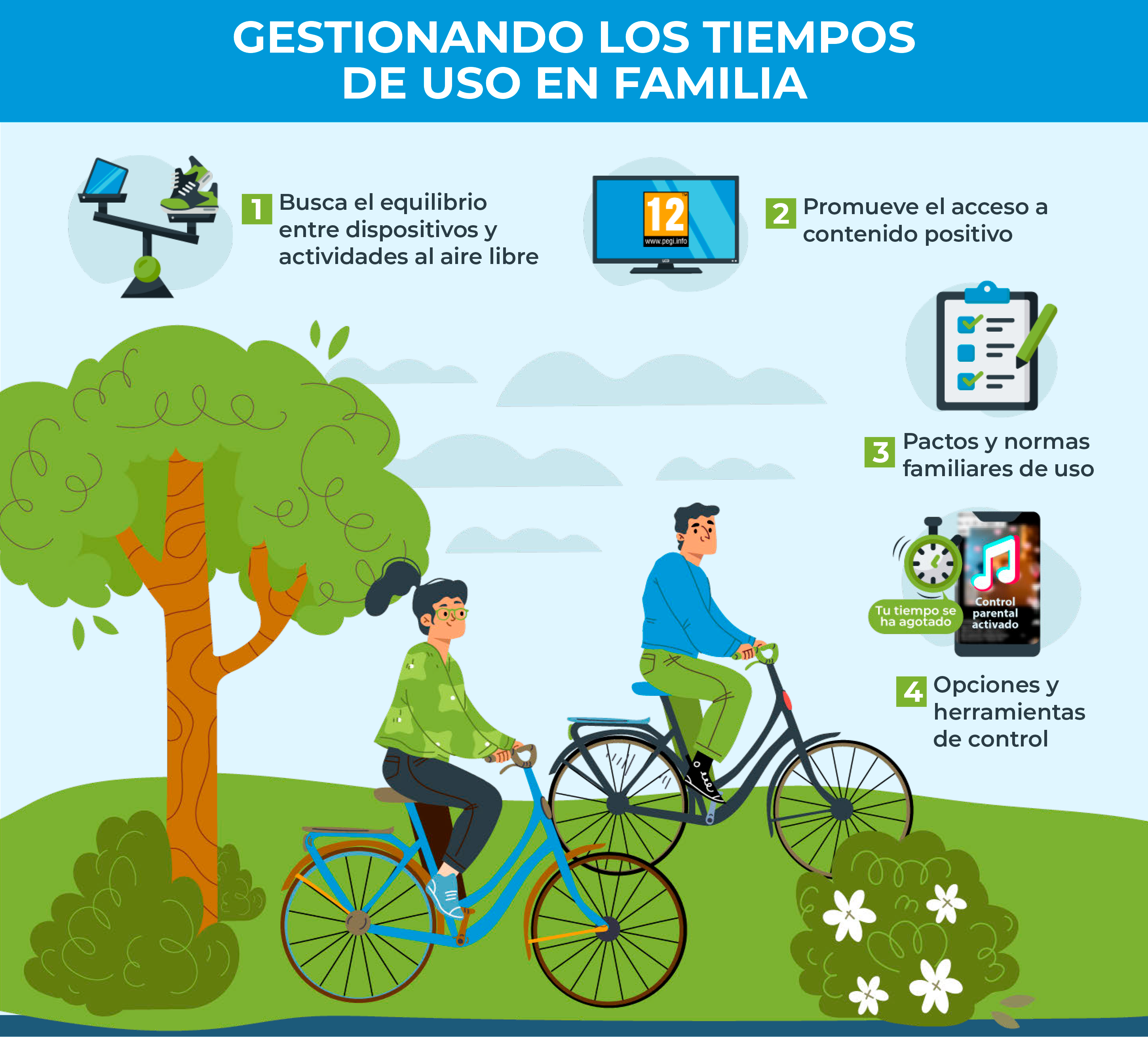 imagen incibe